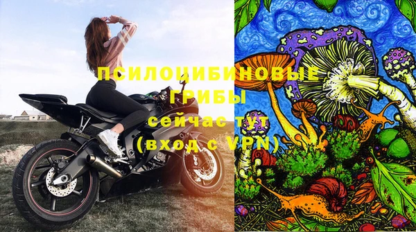 мескалин Горнозаводск