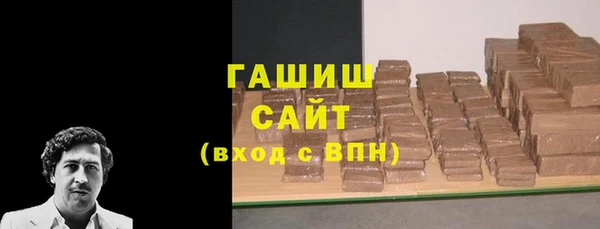 шишки Медвежьегорск