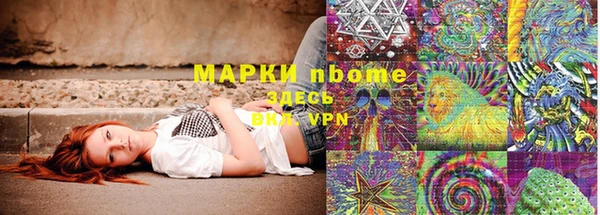 шишки Медвежьегорск