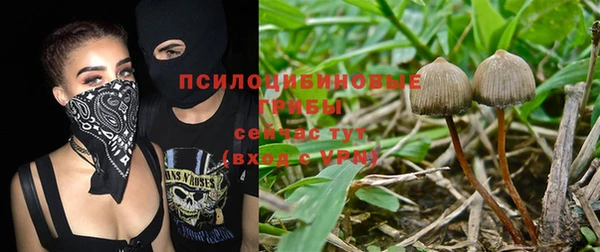 мескалин Горнозаводск