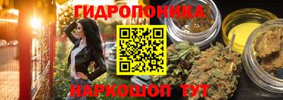 a pvp Волжск