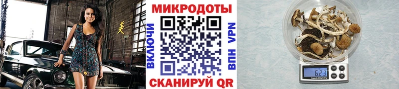 Галлюциногенные грибы прущие грибы МЕГА ТОР Дзержинский