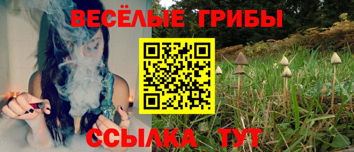 Псилоцибиновые грибы GOLDEN TEACHER  Дзержинский 