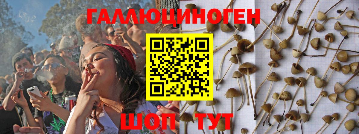Галлюциногенные грибы GOLDEN TEACHER  Вход с VPN  Дзержинский 