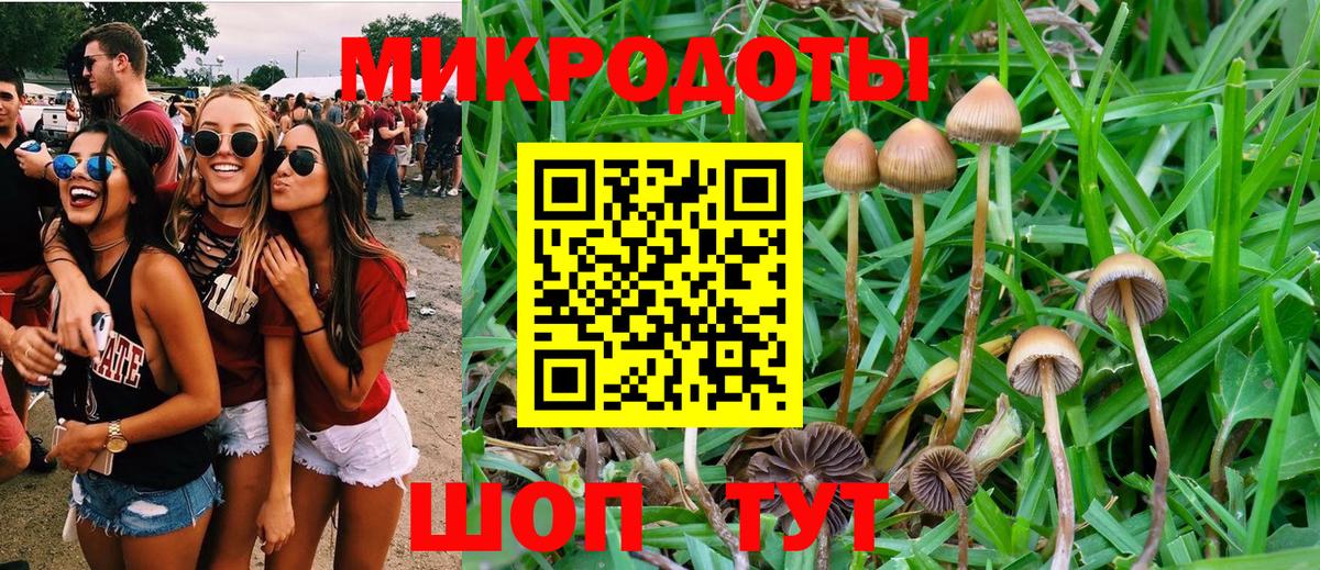 Галлюциногенные грибы GOLDEN TEACHER Дзержинский